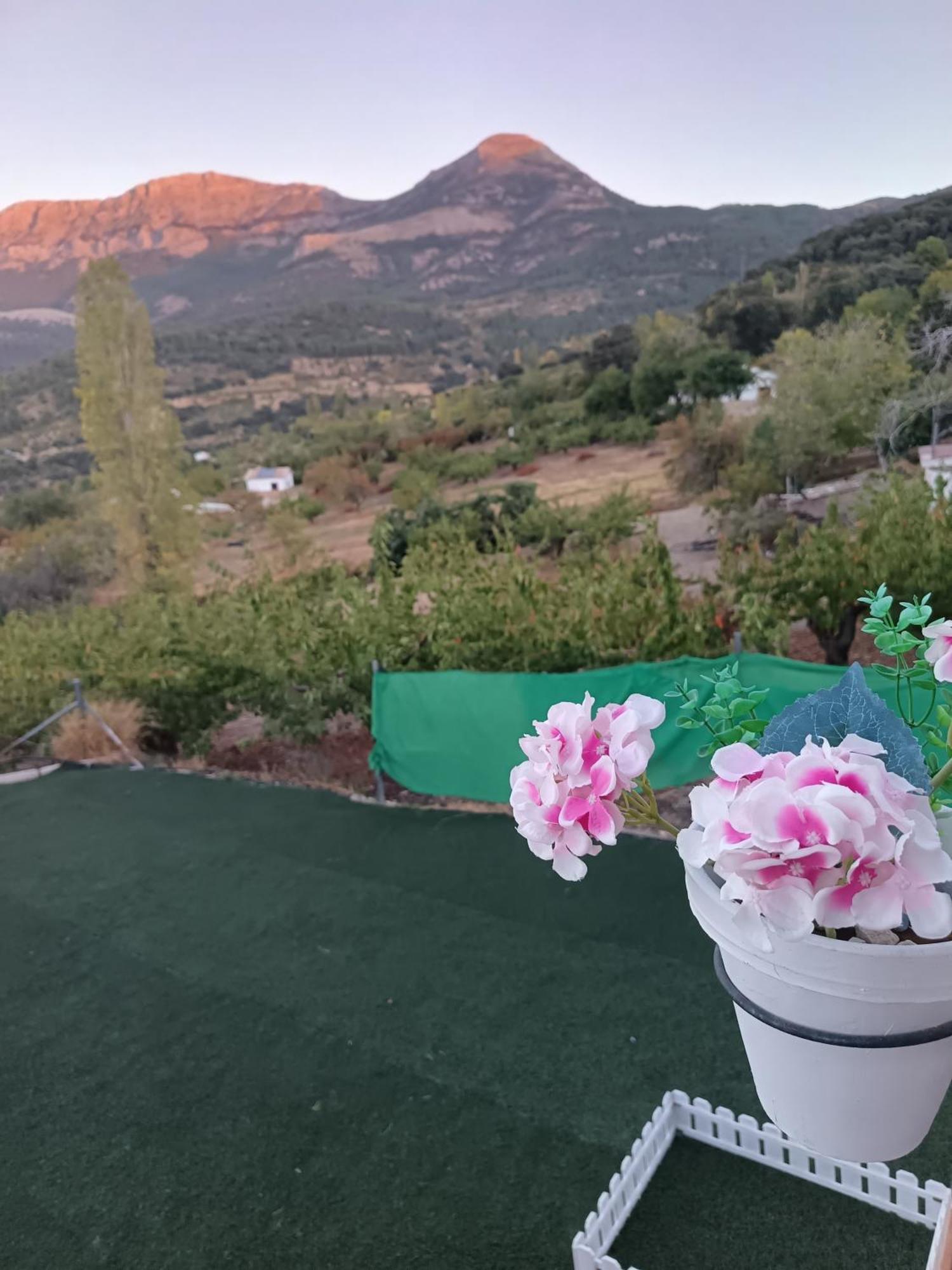 Los Cabales Torres  Exterior photo